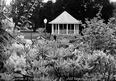 andover town common photo